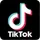 TikTok Downloader